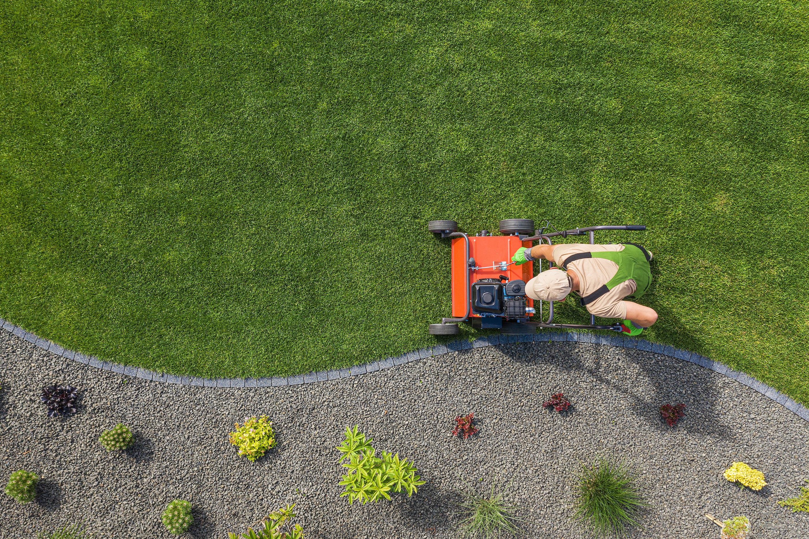 Powerful Gasoline Lawn Aerator Job For Controlling Lawn Thatch, And Reducing Soil Compaction. Backyard Grass Field Maintenance. Caucasian Gardener in His 40s. Aerial View.